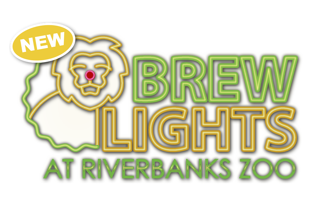 Brew Lights